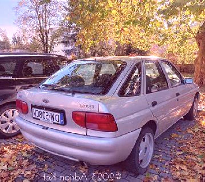 escort Gniew