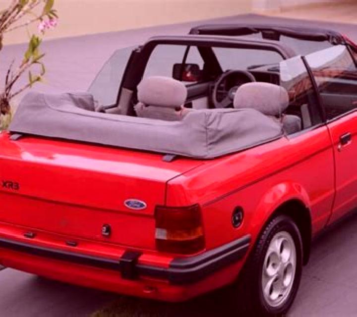 escort Gniewkowo