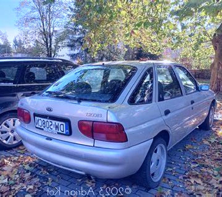 escort Godog