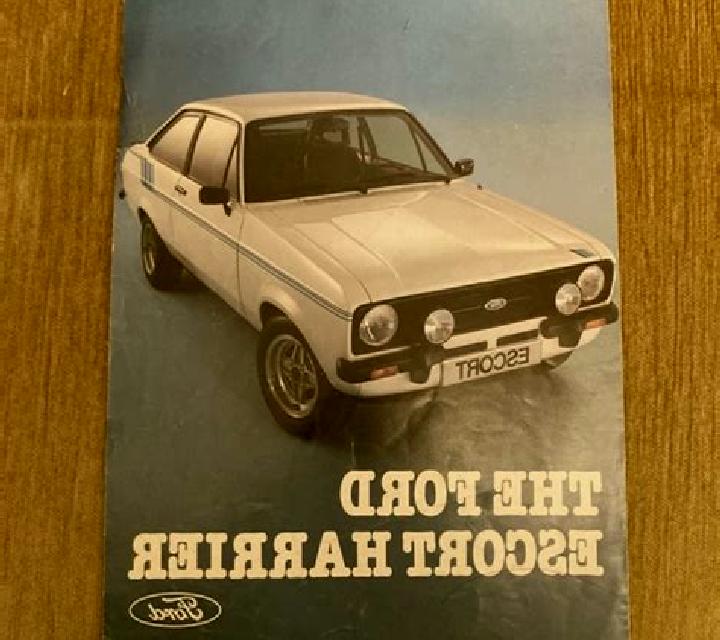 escort Goektepe