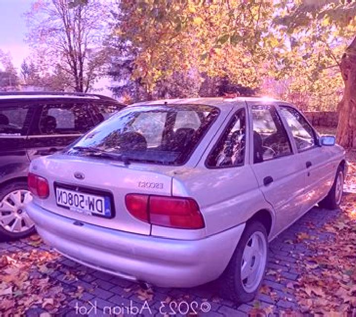escort Goldbach