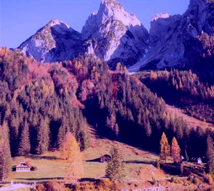 escort Gosau