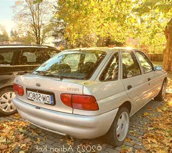 escort Grezzana