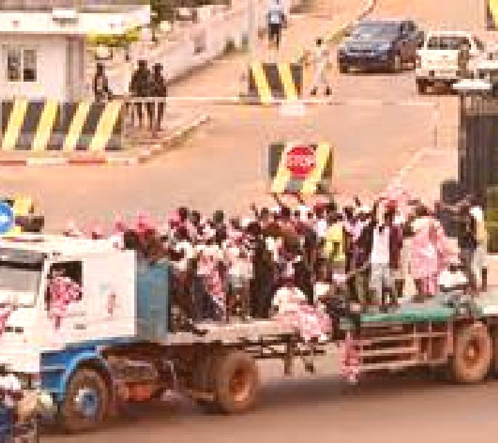 escort Guinea-Bisáu