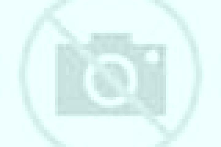 escort Gundersweiler