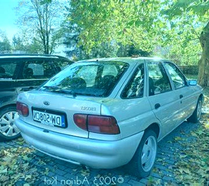 escort Haselbachtal