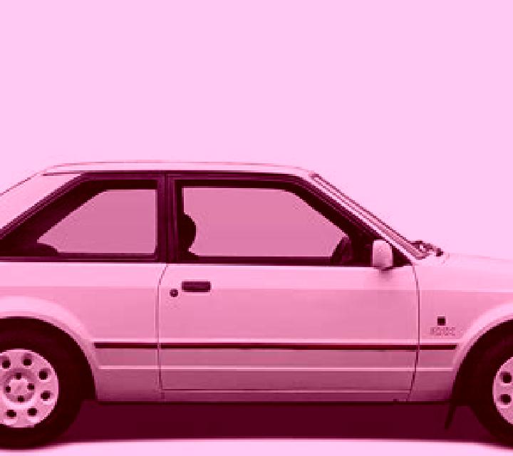 escort Hirschhorn