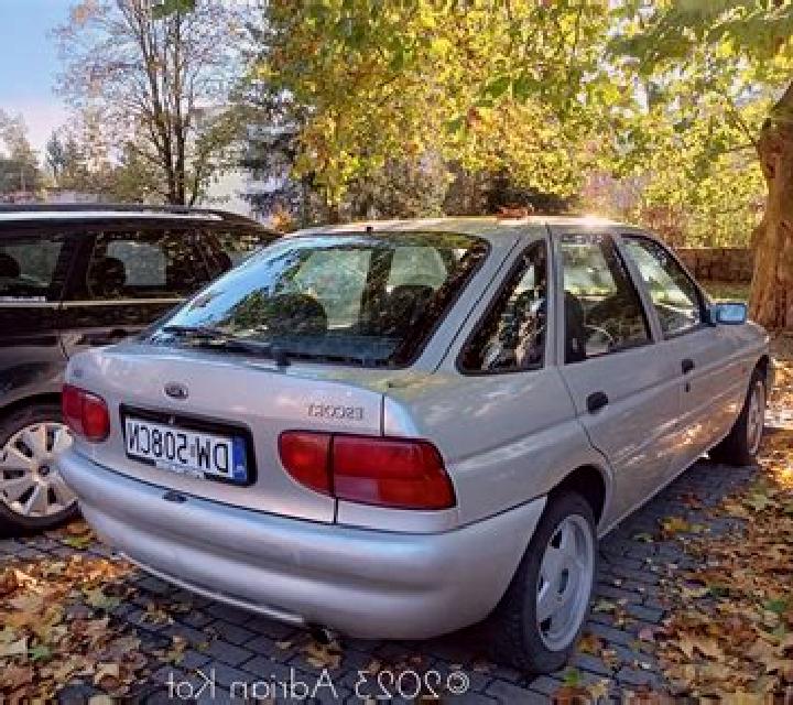 escort Huttwilen
