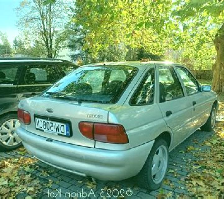 escort Iboguhe