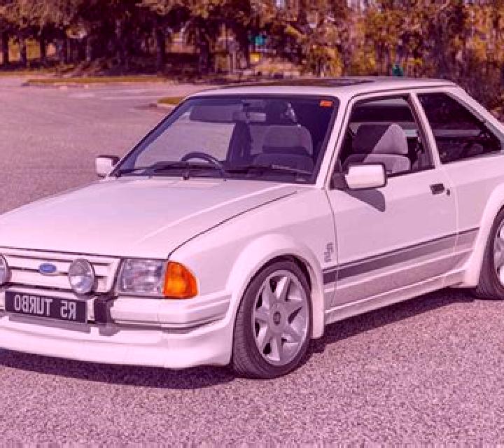 escort Jaksic