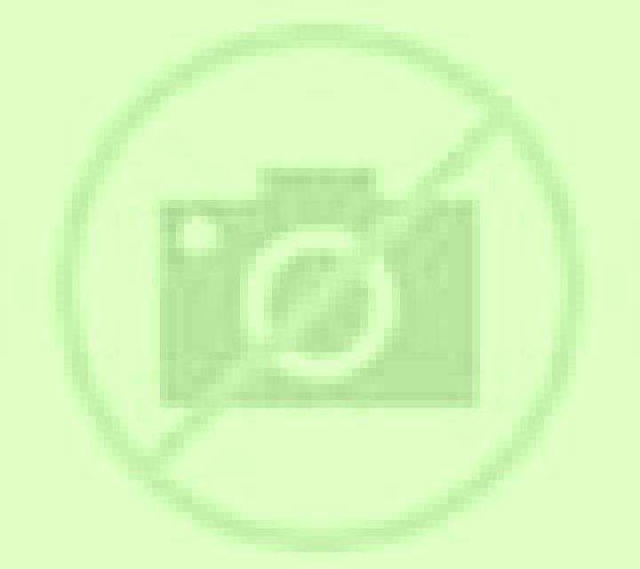 escort Jayuya