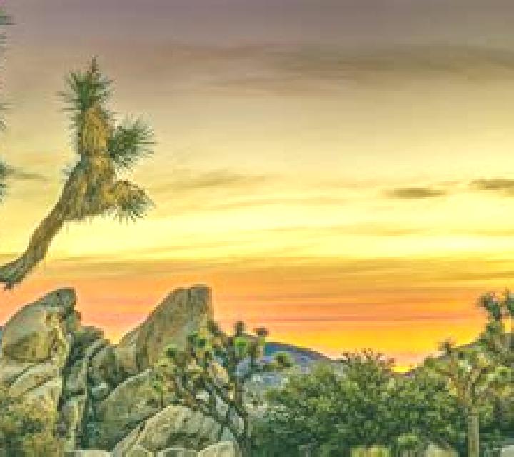 escort Joshua Tree
