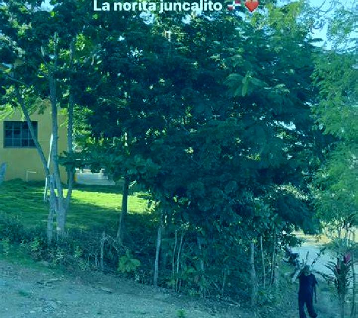 escort Juncalito Abajo