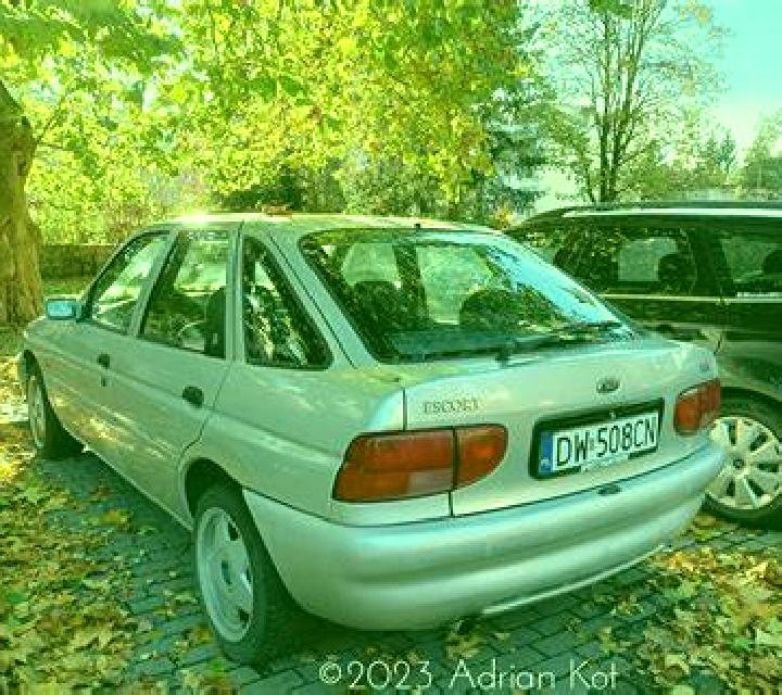 escort Kabaty