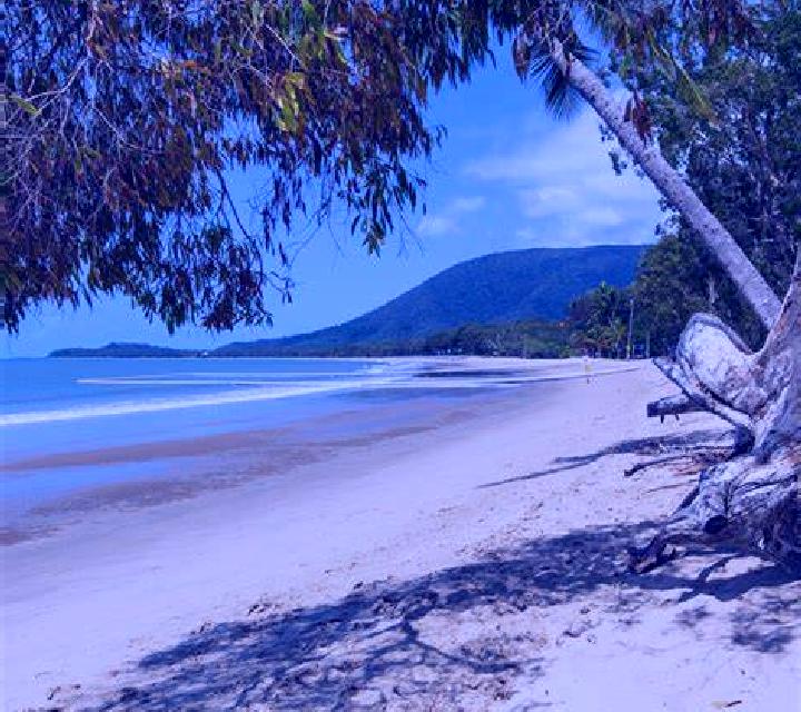 escort Kewarra Beach