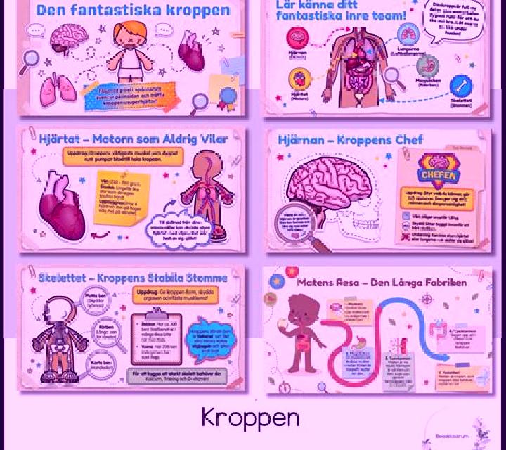 escort Kroppen