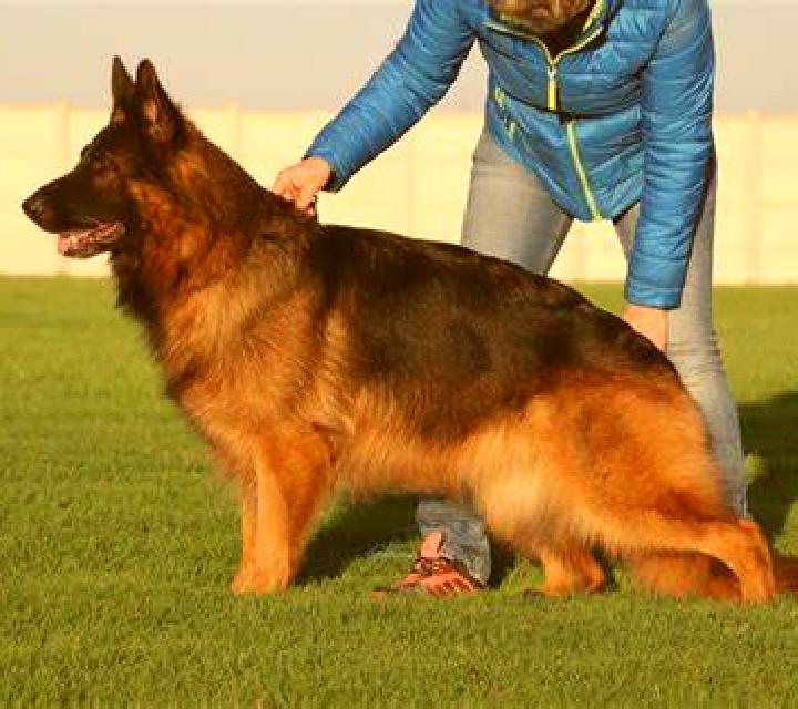escort La Cretaz-Roisan