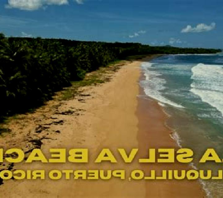 escort La Selva Beach