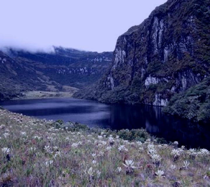 escort Laguna Grande