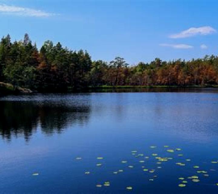 escort Lake Linden