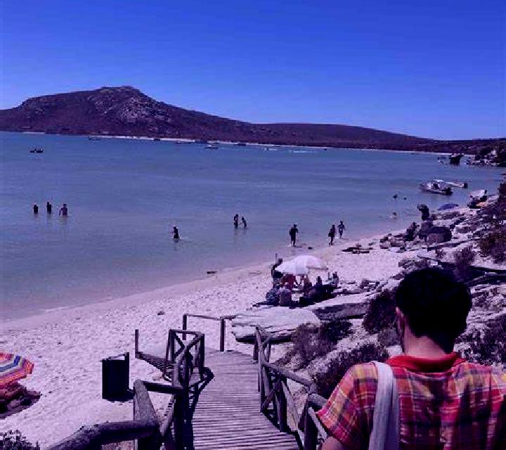 escort Langebaan