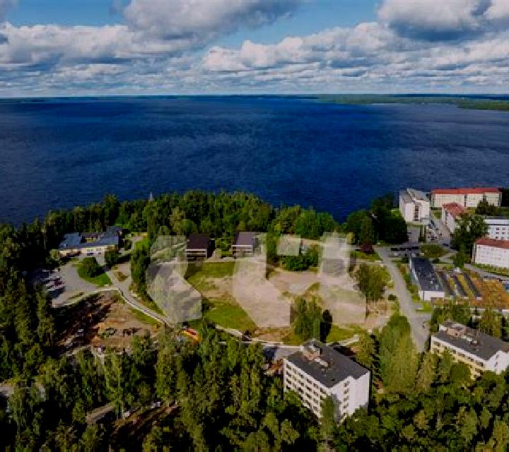 escort Lapinniemi