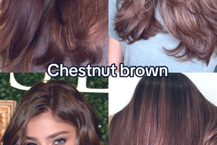 escort Le Chay