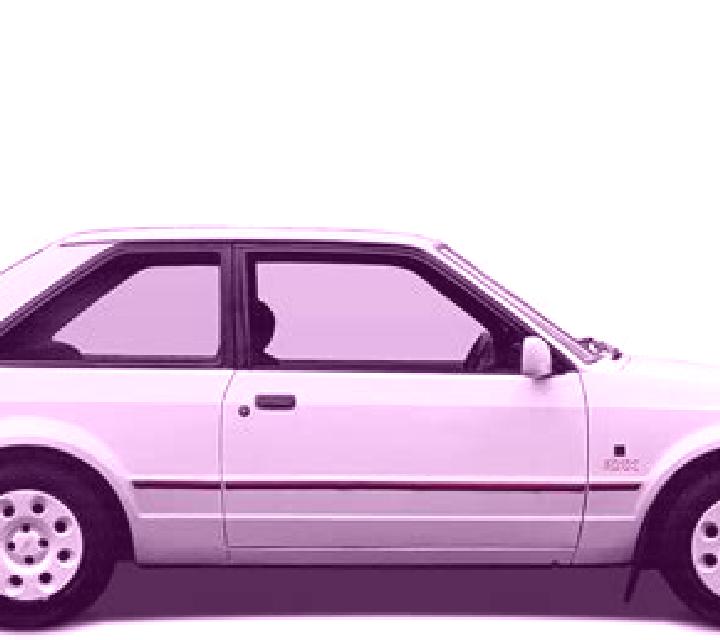 escort Lesnic