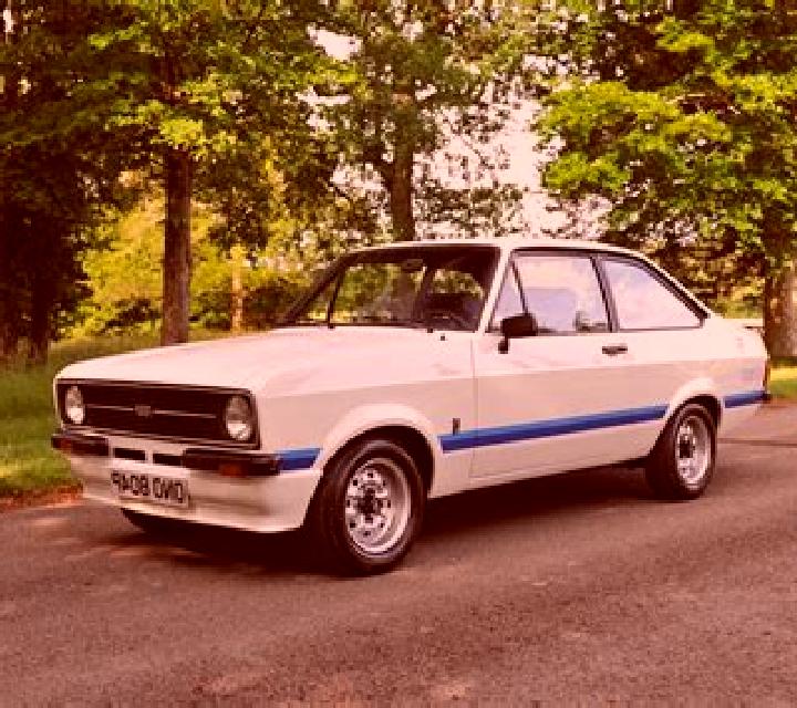 escort Lesogorsk