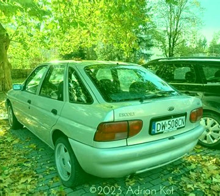 escort Lipkowo