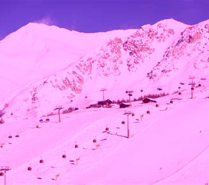 escort Livigno