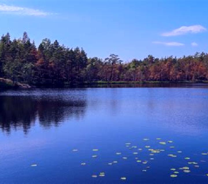 escort Loon Lake