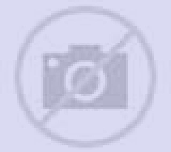 escort Lourdes