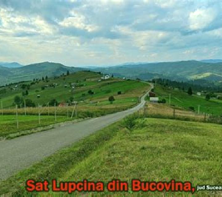 escort Lupcina