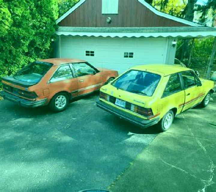 escort Maatkas