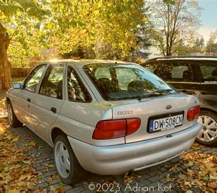 escort Maitzborn
