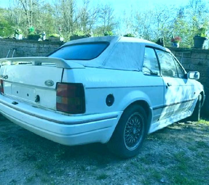 escort Marktheidenfeld