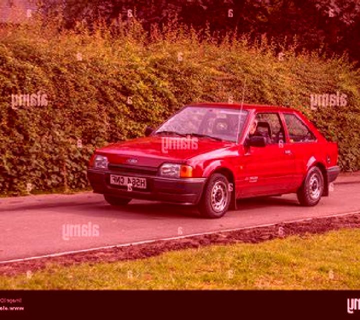 escort Matay