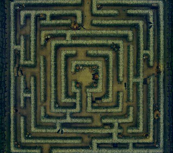 escort Maze