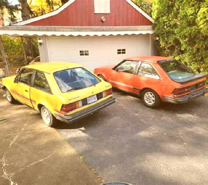 escort Merrilands