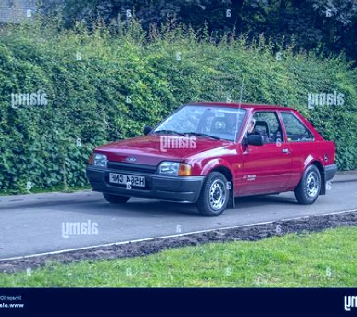 escort Minokamo