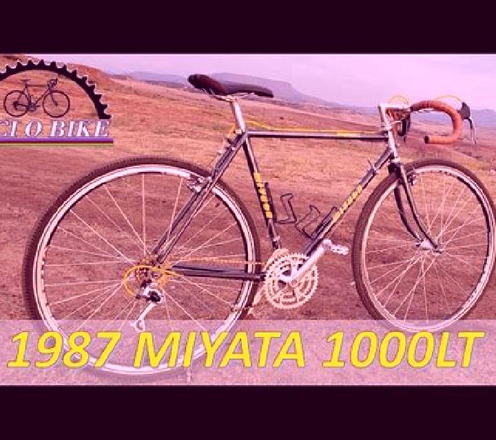 escort Miyata
