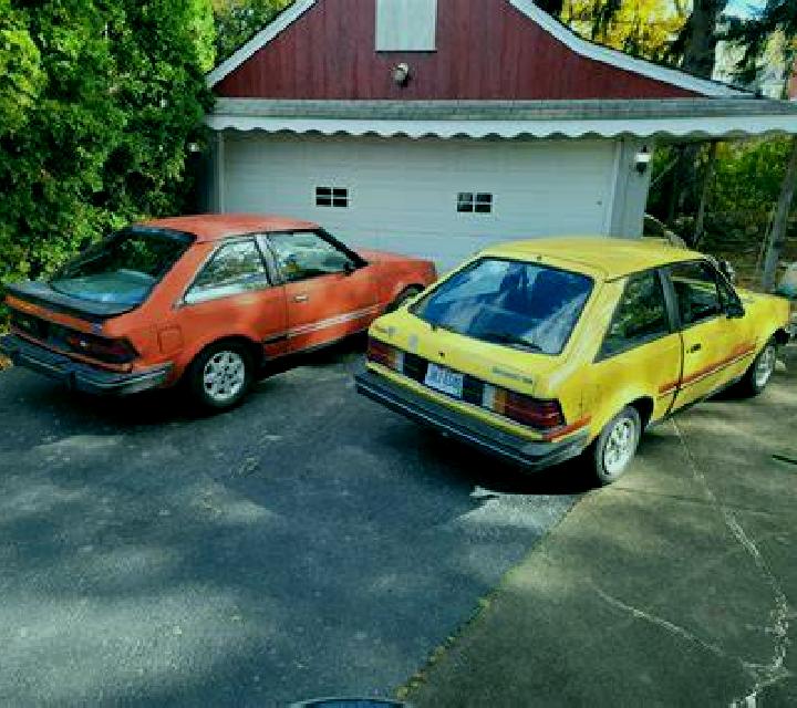 escort Napanee