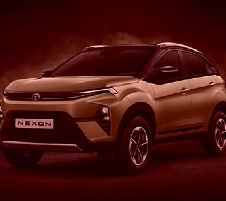 escort Nexon