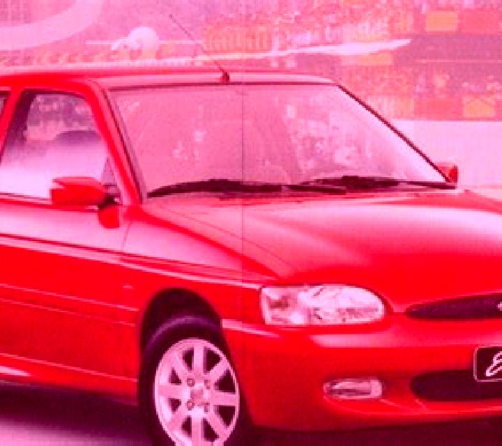 escort Nittel
