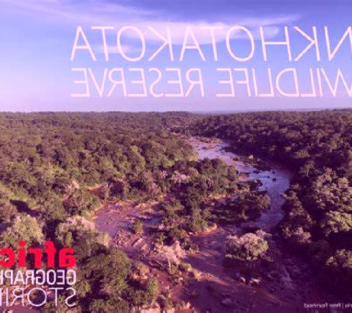 escort Nkhotakota