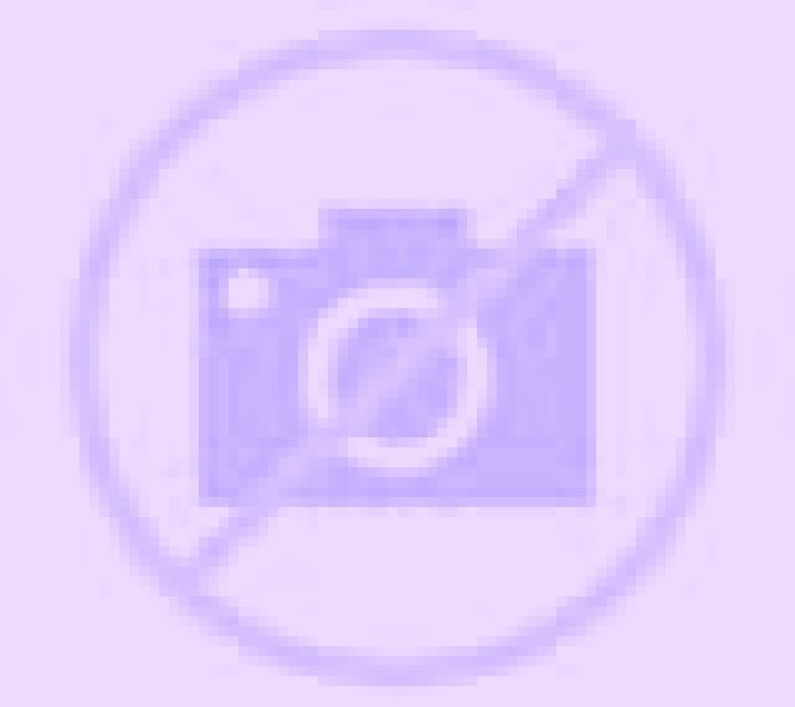 escort North Strathfield