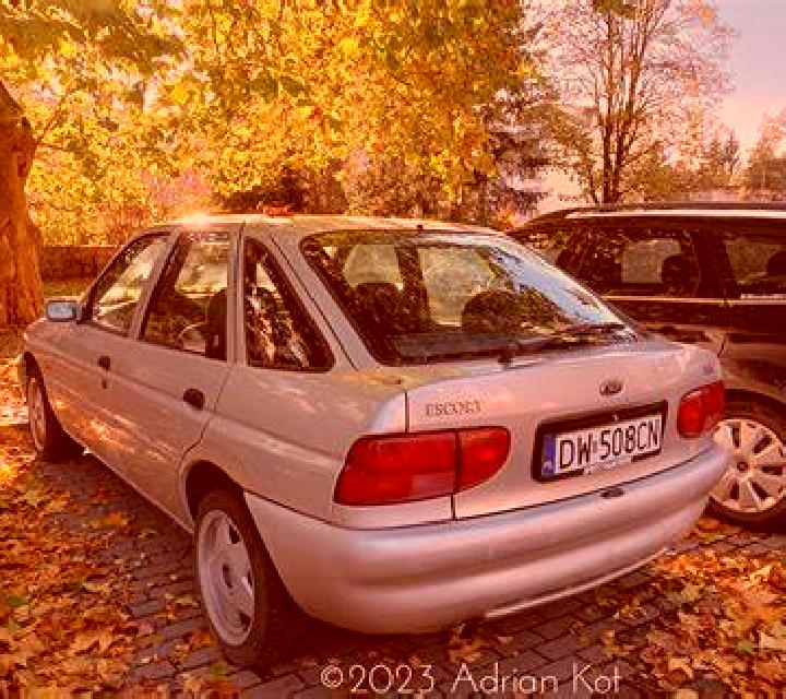 escort Nortorf