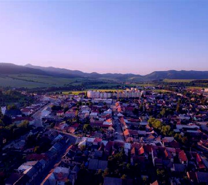escort Novo Mesto