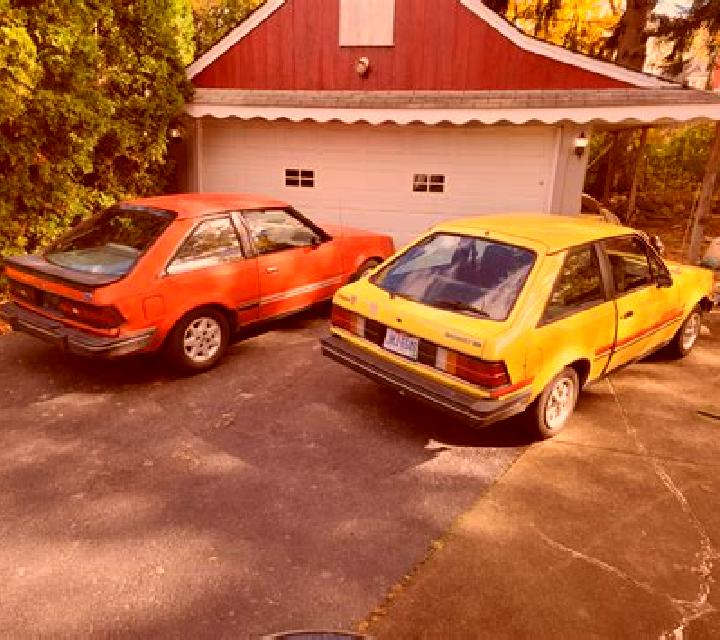 escort Olsberg
